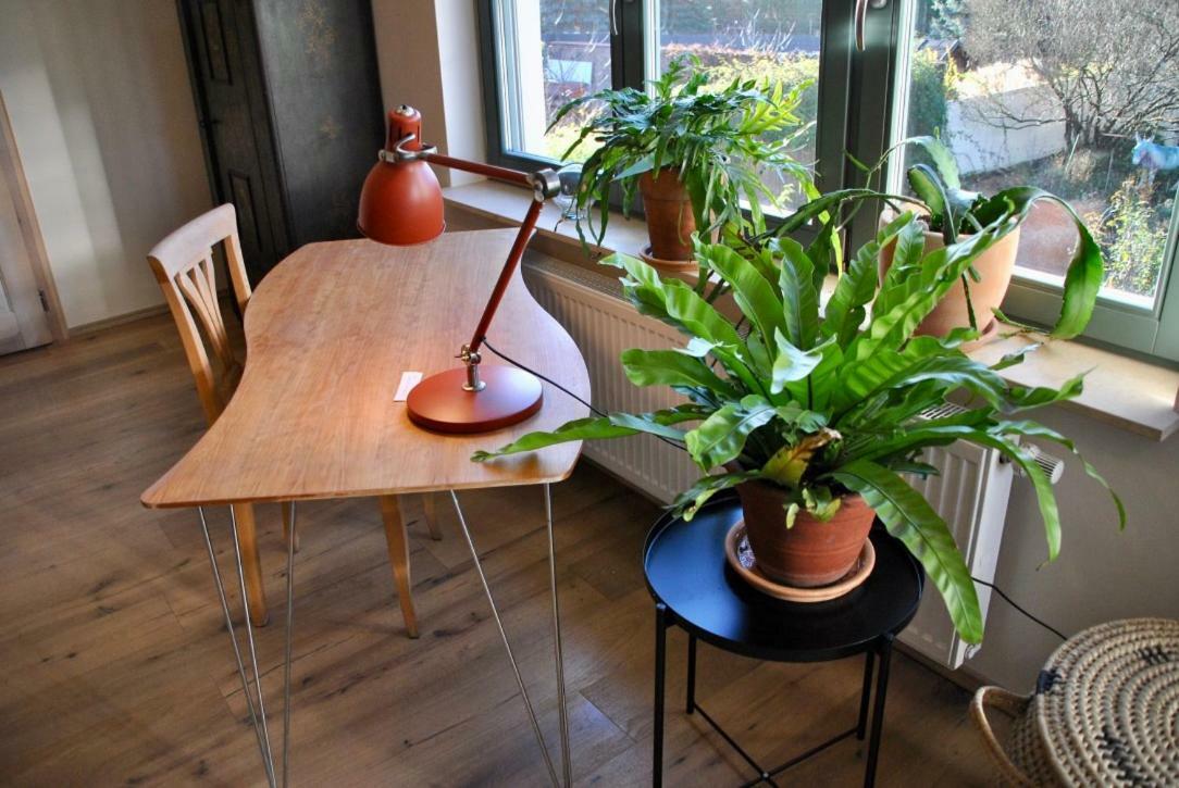 Kranichhof - Studio, Loft & Atelier Apartment *